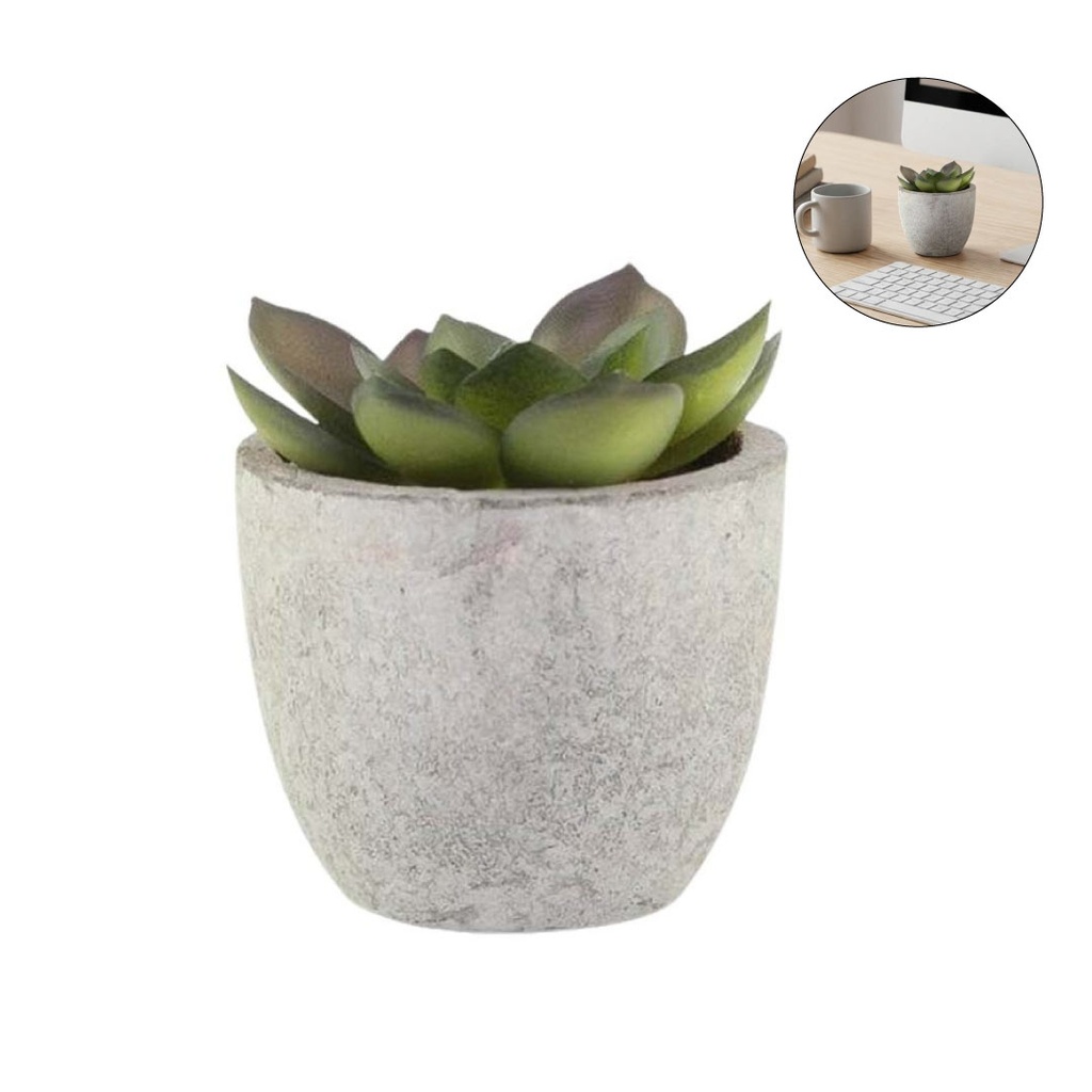 CAMAS - Artificial Succulent Plant in Pulp Pot